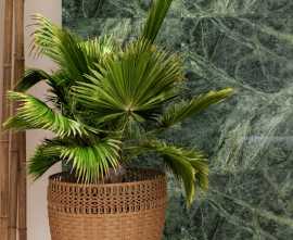 Керамогранит Verde Tikal Decovita