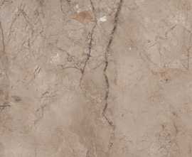 Керамогранит Wild Forest Modern Tile
