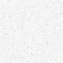 Плитка Kerama Marazzi 12072 Дикая роза белый 25*75