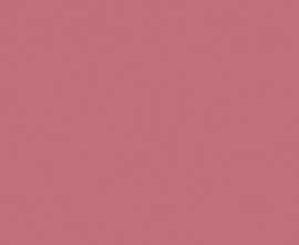 Плитка Kerama Marazzi 7081T Городские цветы розовый 20*50
