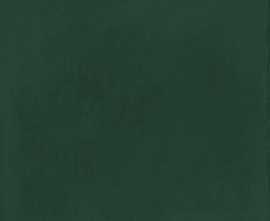 Плитка Kerama Marazzi 17070 Сантана зеленый темный глянцевый 15х15