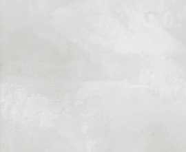 Керамогранит New Trend Anima Grey GP6ANI15 41*41