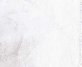 Керамогранит LB-Ceramics 6246-0043 (6046-0323) Кампанилья серый 45х45