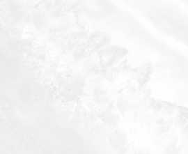 Плитка AltaCera WT9PAL00 Palmira light 249*500*8,5