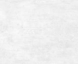 Плитка AltaCera WT9BTN00 Beton Gray 24.9х50