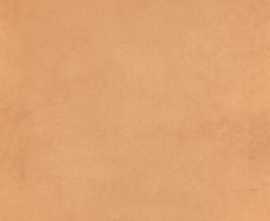 Плитка Kerama Marazzi 5238 Капри оранжевый 20x20