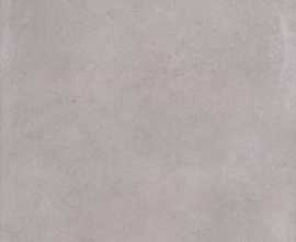 Плитка Kerama Marazzi 8266 Александрия серый 20x30