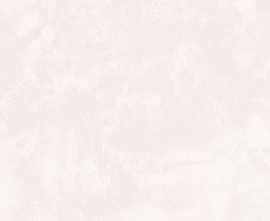 Плитка Kerama Marazzi 12106R Город на воде серый светлый обрезной 25х75