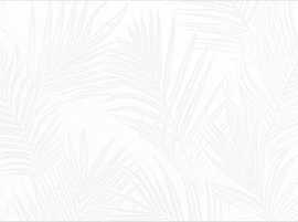 Плитка Delacora WT15EXI00R Exotic White 24.6x74