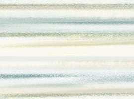 Alma Ceramica BWU60ALS016 бордюр Alaris 60*600*8