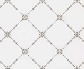 Alma Ceramica DWU09BRT004 декор Brenta 249*500*8.5