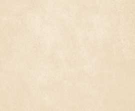 Плитка AltaCera WT9PET11 Petra Beige 24.9х50