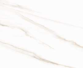 Плитка AltaCera WT9ESR00 Esprit Calacatta 250*500*9