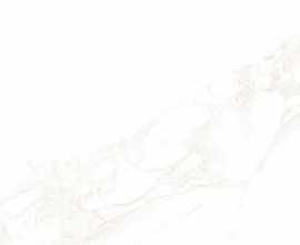 Плитка AltaCera WT9ARE00 Artdeco White 250*500*9