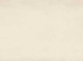 Плитка LB-Ceramics 1064-0227 Парижанка бежевый 20х60