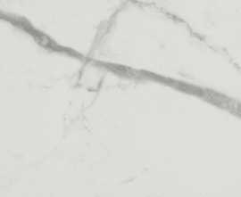 Плитка FAP Ceramiche fQCS Roma Gold Carrara Superiore Brillante 50х120