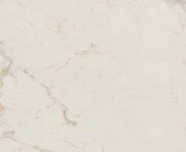 Плитка FAP Ceramiche fQCQ Roma Gold Calacatta Delicato Brillante 50х120