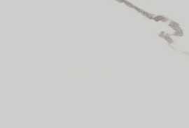 Подступенник Kerama Marazzi SG849990R/6 Подступенок Монте Тиберио белый матовый обрезной 80x10,7x0,9
