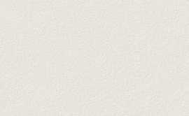 Плитка Emigres Rev. ODESSA BEIGE 20x60
