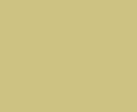 Плитка RAKO WAA1N221 Color One 20*20