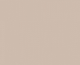 Плитка RAKO WAAKB008 CONCEPT Plus Beige 25x33