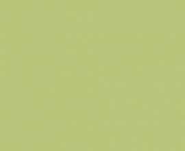 Плитка RAKO WAA19455 Color One 15*15