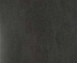 Керамогранит Emigres SLAB NEGRO rect. lapp. 60x60
