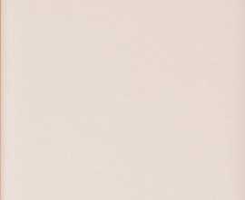 Плитка 41ZERO42 4100723 Rose Matte 5x25