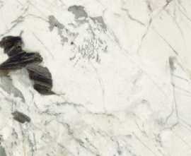 Керамогранит Imola Ceramica Pat Wh6 120 Rm 120x120