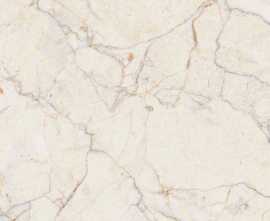 Керамогранит PrimaVera CR110 Elise Beige carving 60x60