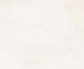 Керамогранит PrimaVera PR137 Amore Silver polished 60x60