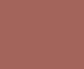 Плитка Concept GT 2360216042/P City colors Бордо 60*23