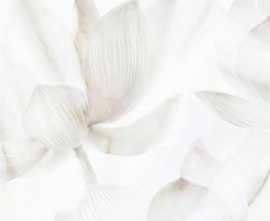 PiezaROSA 125702 Bianco декор 25x40