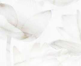 PiezaROSA 125701 Bianco декор 25x40