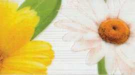 PiezaROSA 267031 Fiori бордюр Ромашка 40х6