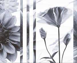 PrimaVera TP3601SWFY Декор Галатея Цветы ректификат 30x60