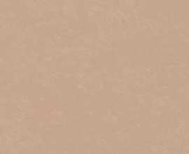 Плитка Arcana 8YQ4 Zaletti-R Salmon 32x99