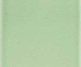 Плитка Adex ADMO1021 Liso PB C/C Verde Claro 15х15