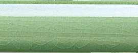 Бордюр Adex ADMO5179 Cubrecanto PB C/C Verde Claro 2.5X15