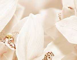 Global Tile 1504-0125 Бордюр AROMA бежевый 45Х7.5