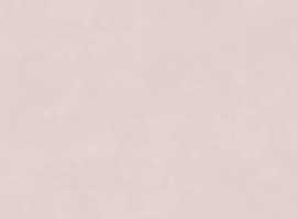 Плитка Ragno Marazzi RA6D Vida Rosa Rett 30x90