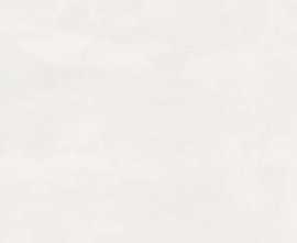 Плитка Ragno Marazzi R79U Resina Bianco rett. 40x120