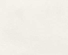 Плитка Ragno Marazzi R5MW Terracruda Luce Rett. 40x120