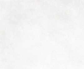 Плитка Ragno Marazzi Bianco R2FQ 25x38