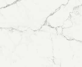 Керамогранит Ragno Marazzi R72Y Statuarietto Glossy Rettificato 58x58