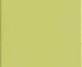 Плитка Ragno Marazzi Pav. Verde 450 20x20