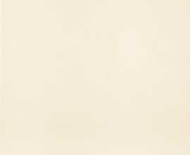 Плитка Mainzu PT01199 Victorian Blanco 20*20