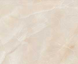 Плитка Керлайф ONICE SCURO FIORI 31.5x63