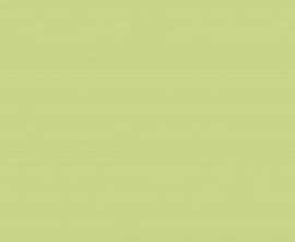 Плитка Керлайф KL503771101 SPLENDIDA VERDE 20.1*50.5