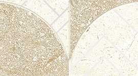 LB-Ceramics 1504-0427 Лиссабон Бордюр 4,5х45